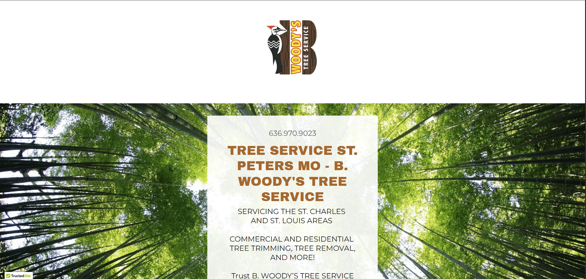 B. Woody's Tree Service — old site